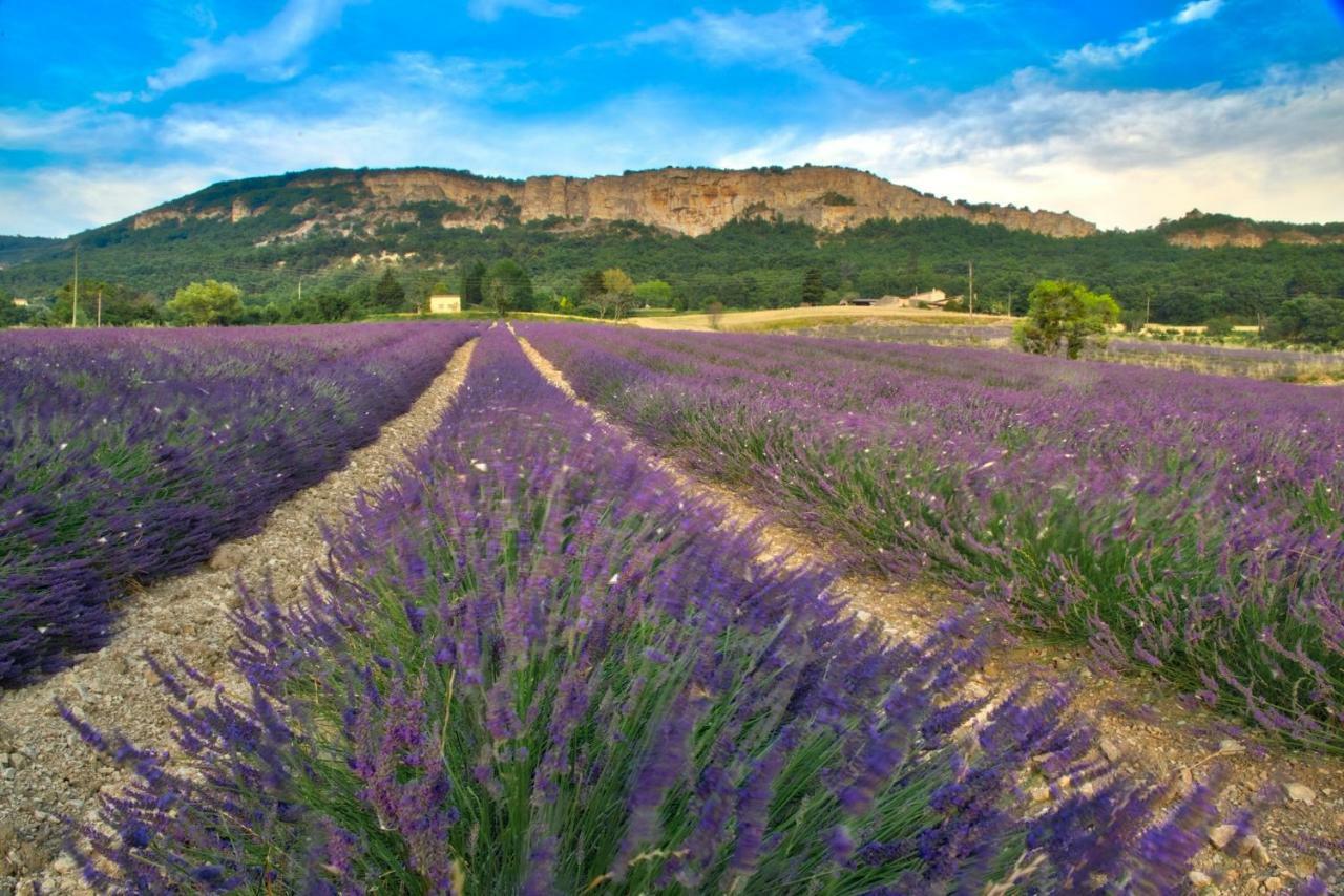 Les Beaux Chenes Βίλα Pont-de-Barret Εξωτερικό φωτογραφία